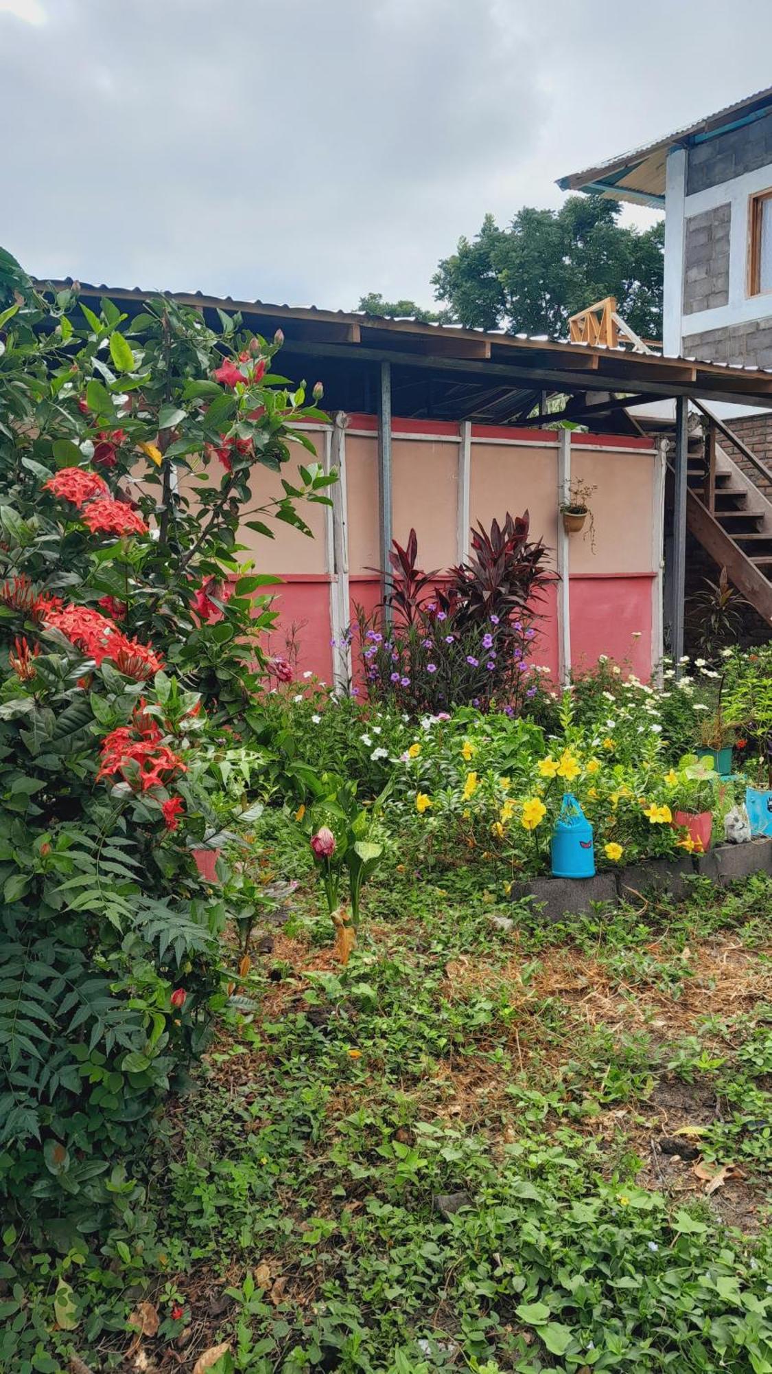 Hospedaje Bananas Altagracia Exterior photo